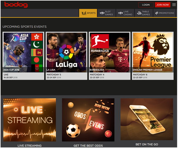 Bodog India