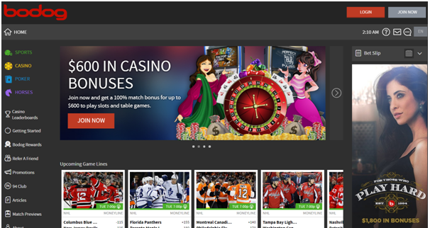 Bodog casino