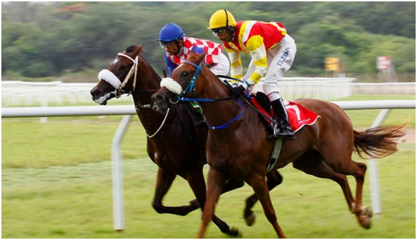 History of Horse Betting in India