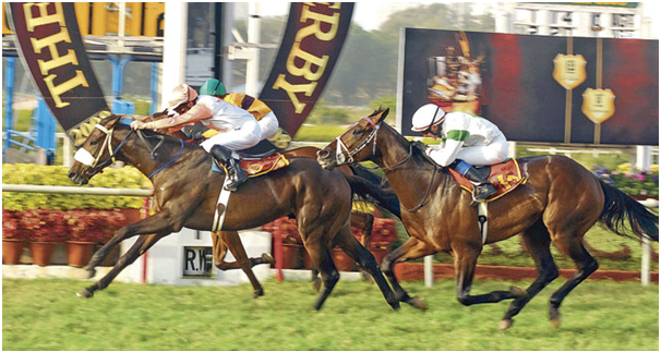 Horse betting in India