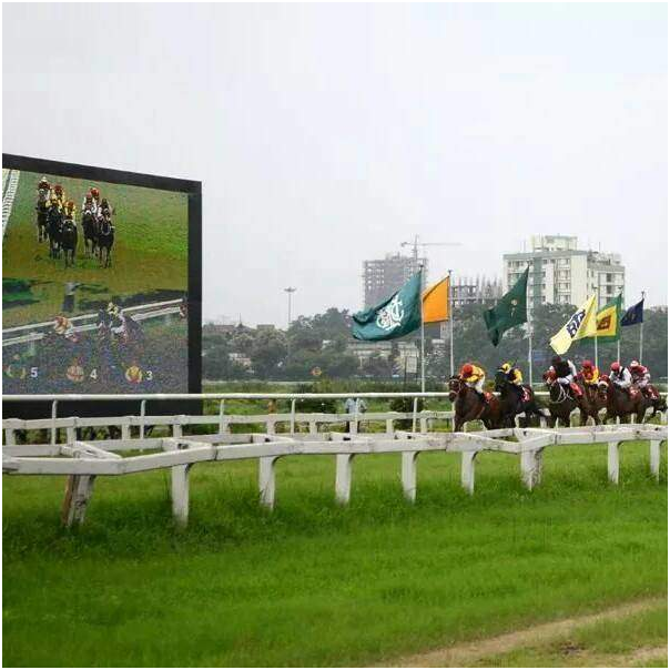 five best horse racing sites for Indians