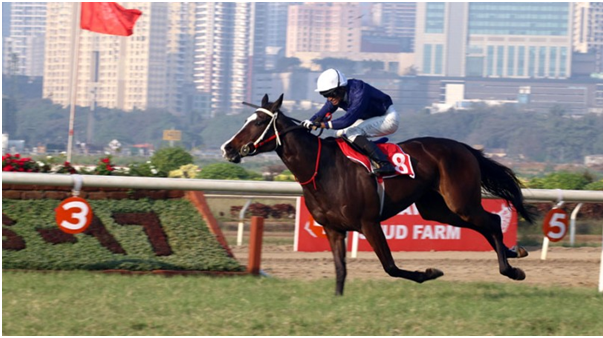 Horse racing betting sites in India