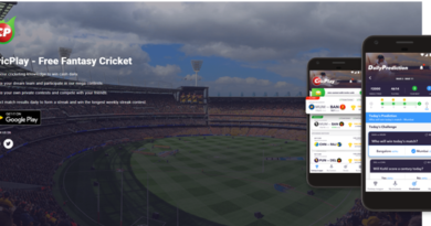 How to play Cric Play
