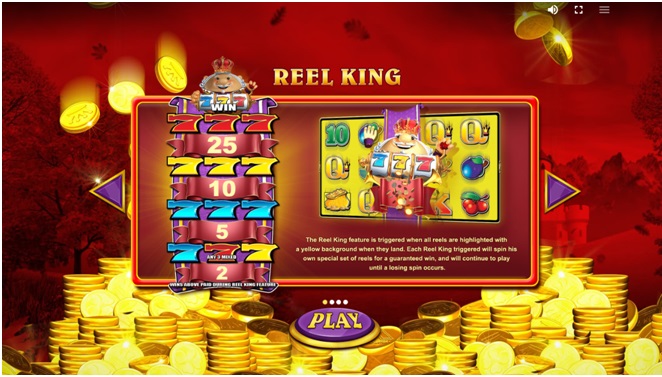 Reel King Mega - Game features
