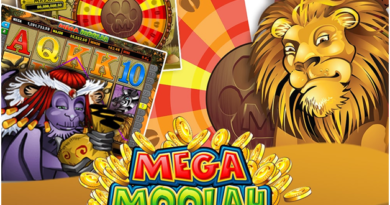What are the best online casinos to play Mega Moolah in India