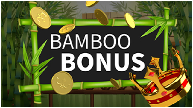 Bamboo Bonus at Royal Panda